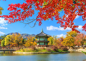 Simply Japan Holiday
Package